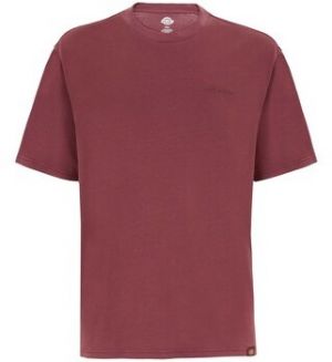 Tričká s krátkym rukávom Dickies  Plentywood Ss Tee