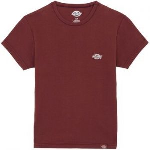 Tričká s krátkym rukávom Dickies  Gladeville Ss Tee W