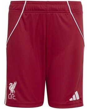 Šortky/Bermudy adidas  Lfc H Sho Y