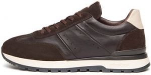 Nízke tenisky NeroGiardini  Arold Savana Brown Sauvage Ivory Tr Orvieto 9600