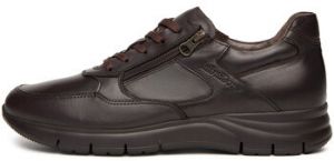 Nízke tenisky NeroGiardini  Vienna 3751 Eva Andalo 8770/004