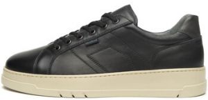 Nízke tenisky NeroGiardini  Sagar Deco Kenia Antracite Eva Torino Becco Tal