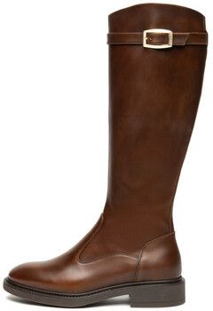 Čižmy do mesta NeroGiardini  Delavato Tr Pomezia 9741/004