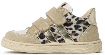 Nízke tenisky NeroGiardini  Velour Perseo Osso T.Aida Leo +Ir T.Brill Pl