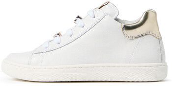 Nízke tenisky NeroGiardini  Perseo T.Brill Platino 6074 Tr Sora 834