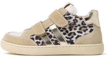 Nízke tenisky NeroGiardini  Velour Perseo Osso T.Aida Leo +Ir T.Brill Pl