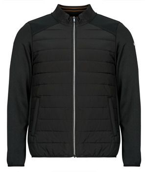 Parky Deeluxe  THOMAS