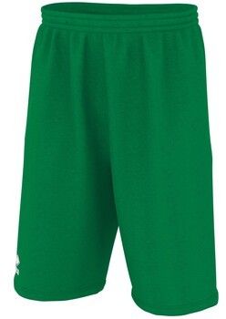 Šortky/Bermudy Errea  Dallas 3.0 Panta Jr