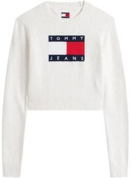 Svetre Tommy Hilfiger  TJW SPARKLE FLAG SWE DW0DW21690