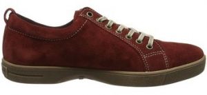 Derbie Westland  Baskets