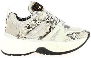 Derbie Meline  Baskets