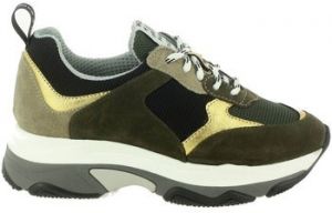 Derbie Meline  Baskets