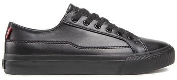 Derbie Levis  Baskets