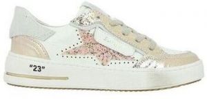 Derbie Semerdjian  Baskets