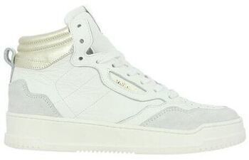 Derbie Semerdjian  Baskets