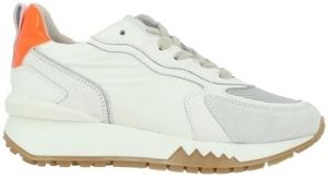 Derbie Semerdjian  Baskets