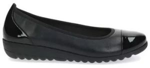 Balerínky/Babies Caprice  Ballerines