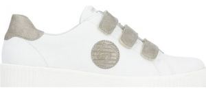 Derbie Remonte  Baskets