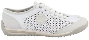 Derbie Westland  Baskets