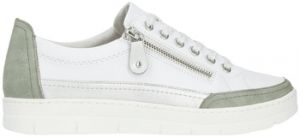 Derbie Remonte  Baskets