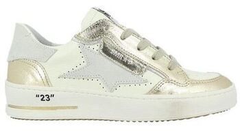 Derbie Semerdjian  Baskets