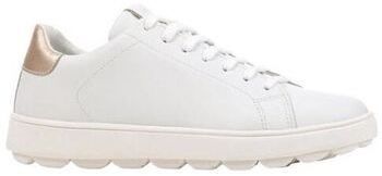 Derbie Geox  Baskets