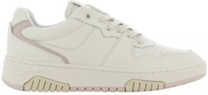 Derbie Safety Jogger  Baskets