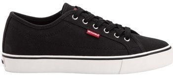 Derbie Levis  Baskets