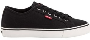 Derbie Levis  Baskets