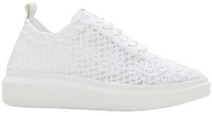 Derbie Mustang  Baskets