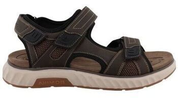 Derbie Westland  Baskets