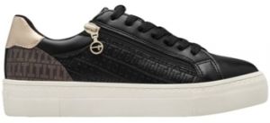 Derbie Tamaris  Baskets