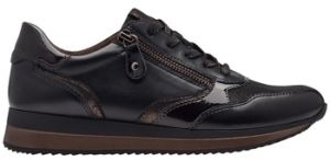 Derbie Jana  Baskets