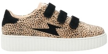 Derbie Vanessa Wu  Baskets