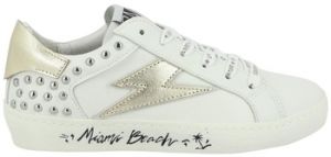 Derbie Semerdjian  Baskets