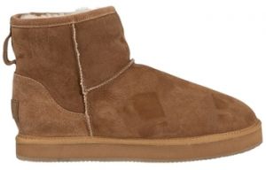 Čižmičky Shepherd  Bottines