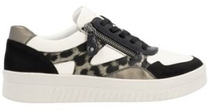 Derbie Remonte  Baskets