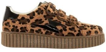 Nízke tenisky Vanessa Wu  Baskets