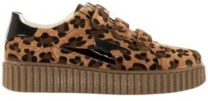 Nízke tenisky Vanessa Wu  Baskets