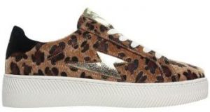 Nízke tenisky Vanessa Wu  Baskets