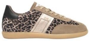 Nízke tenisky NeroGiardini  Baskets