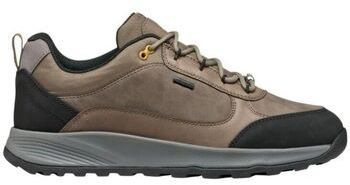 Nízke tenisky Geox  Baskets