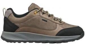 Nízke tenisky Geox  Baskets