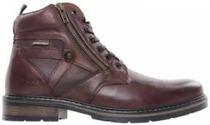 Polokozačky Redskins  Bottines