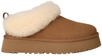 Papuče UGG  W Tazzelle - Chestnut