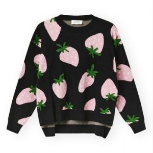 Svetre Compania Fantastica  COMPAÑIA FANTÁSTICA Knit 10240 - Conversational 3