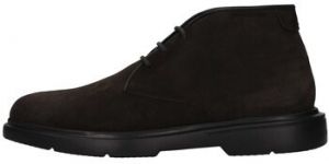 Polokozačky Stonefly  218270