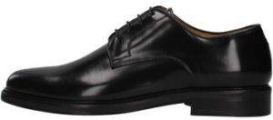 Derbie Fedeni  901SA