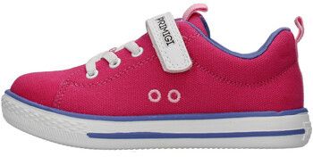 Nízke tenisky Primigi  1950533