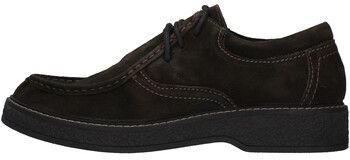 Derbie IgI&CO  8113644